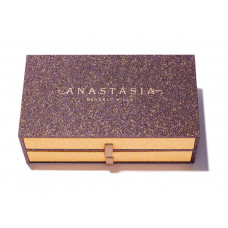 ANASTASIA BEVERLY HILLS VAULT SET ( NORVINA + SUBCULTURE)