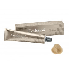 TINTA ALFAPARF EVOLUTION 11.00 LOURO PLATINA  - 60ML