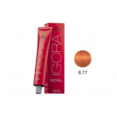 IGORA ROYAL COLORAÇÃO 8.77 - 60G