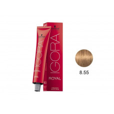 IGORA ROYAL COLORAÇÃO 8.55 - 60G