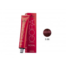IGORA ROYAL COLORAÇÃO 5.88 - 60G