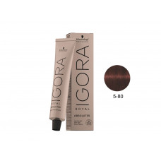 COLORAÇÃO IGORA ABSOLUTE 5-80 - 60G