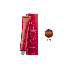 IGORA ROYAL COLORAÇÃO 6.77 - 60G