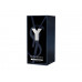 PERFUME YVES SAINT LAURENT Y EAU DE PARFUM - 100 ML - MASCULINO	
